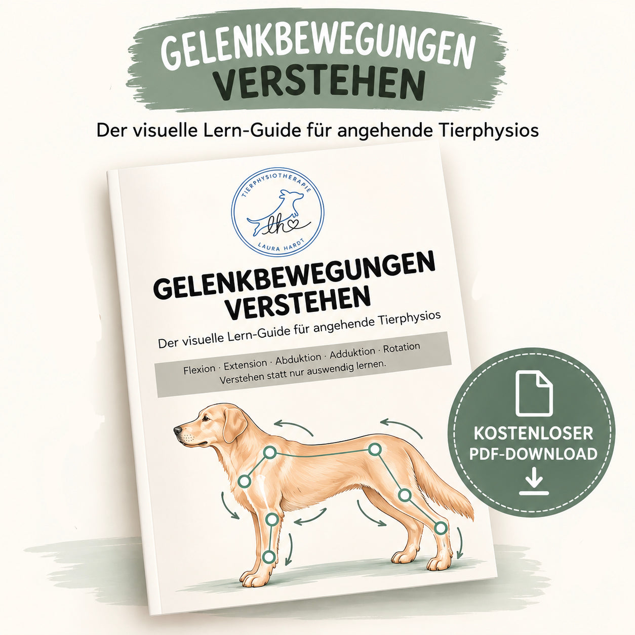 Gelenkbewegung verstehen