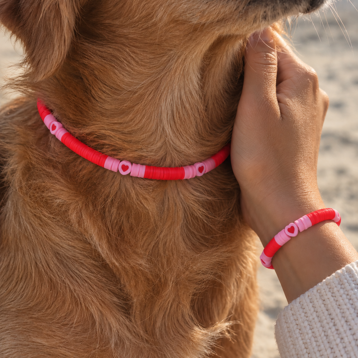 Freundschaftsband für Mensch & Hund – Für einen guten Zweck