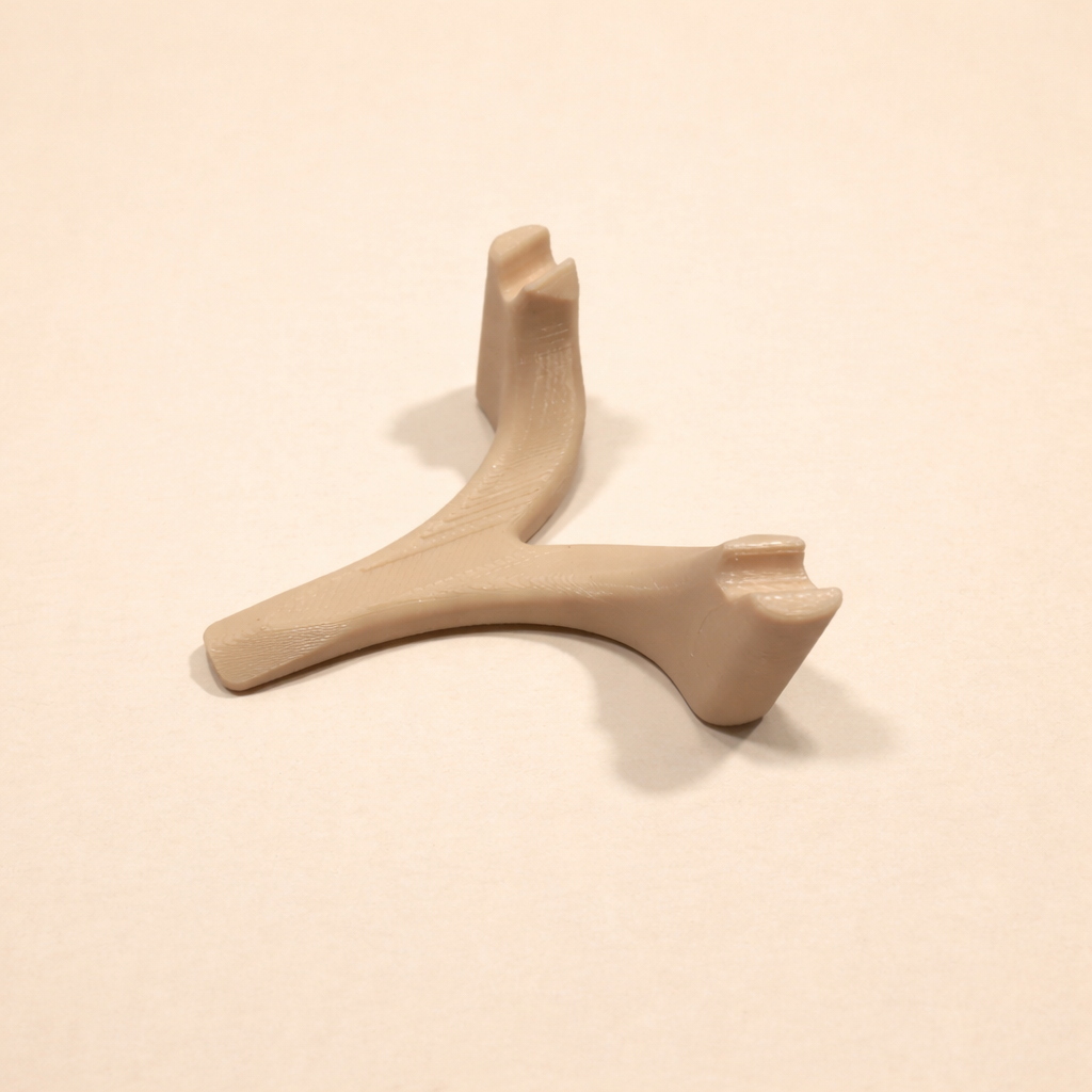 Chihuahua Schädel (3D Modell)