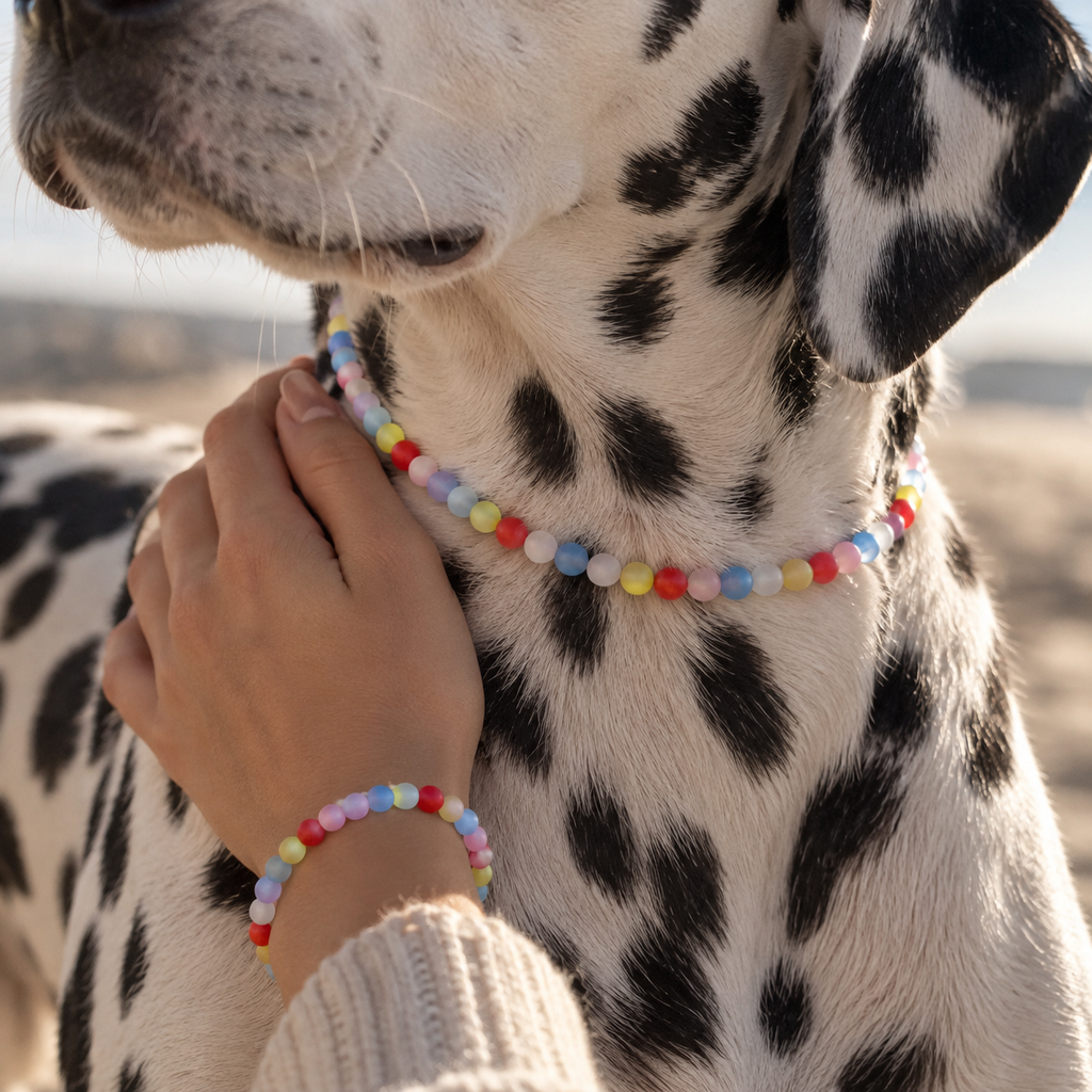 Freundschaftsband für Mensch & Hund – Für einen guten Zweck