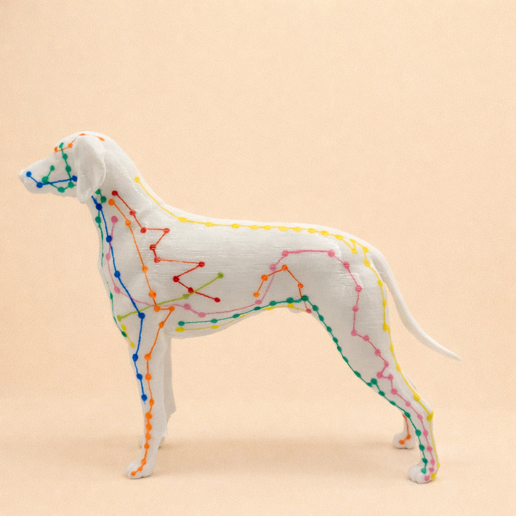 Meridian-Hund (3D Modell)