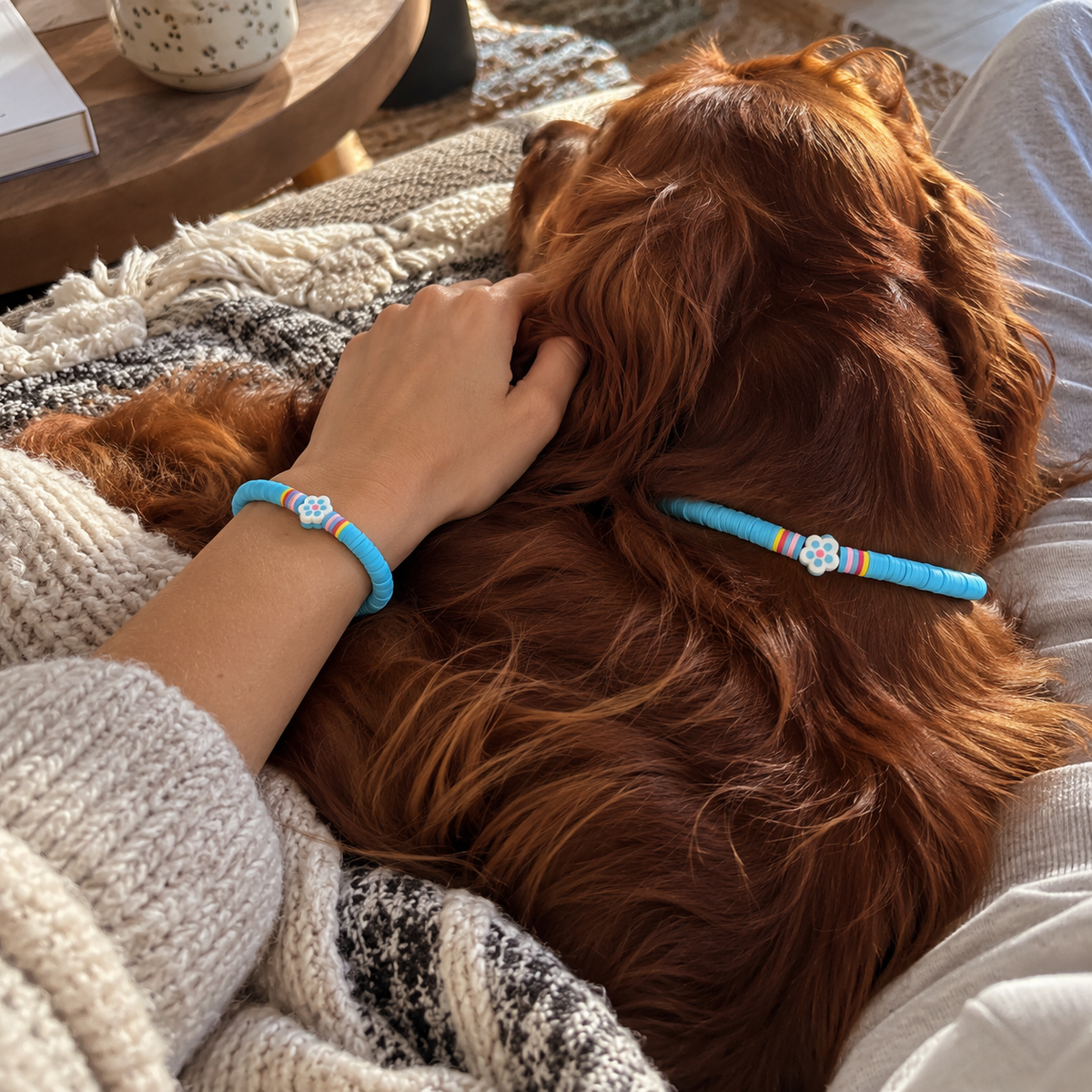 Freundschaftsband für Mensch & Hund – Für einen guten Zweck