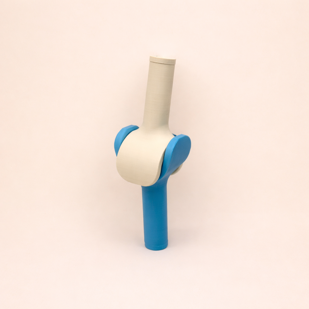 Synovial-Gelenkmodell-Set (3D)