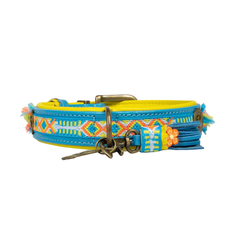 Aloha Halsband Dog with a Mission