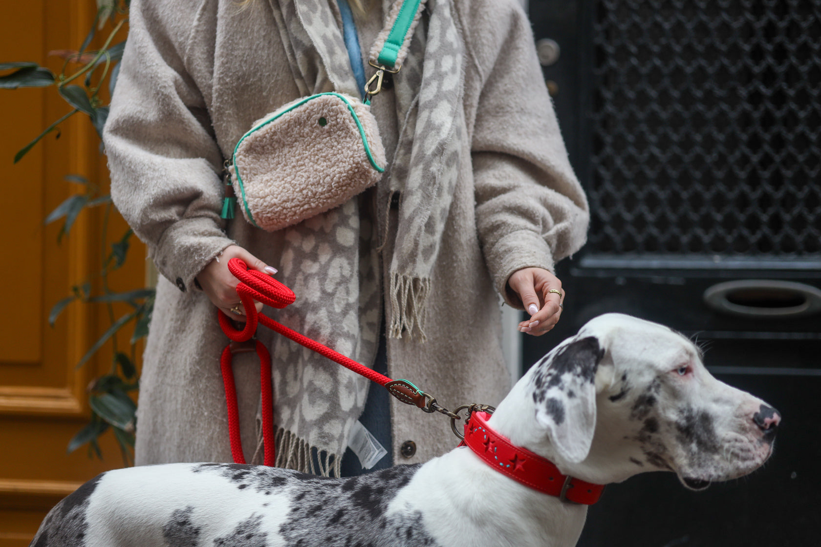 Tasche Walk The Dog Teddy Crossbody, Dog with a Mission