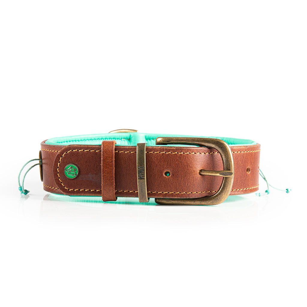 Paddy Lee Halsband Dog with a Mission