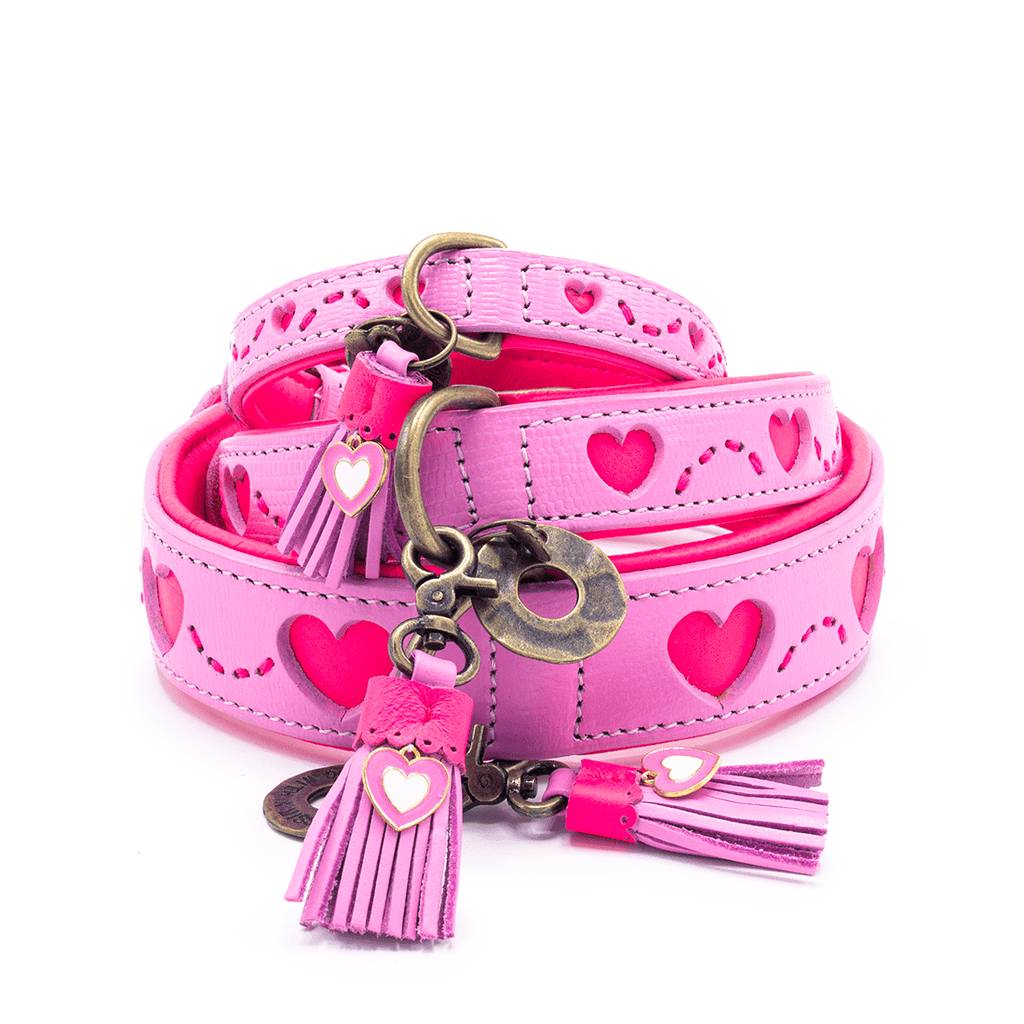 Sweety Halsband Dog with a Mission