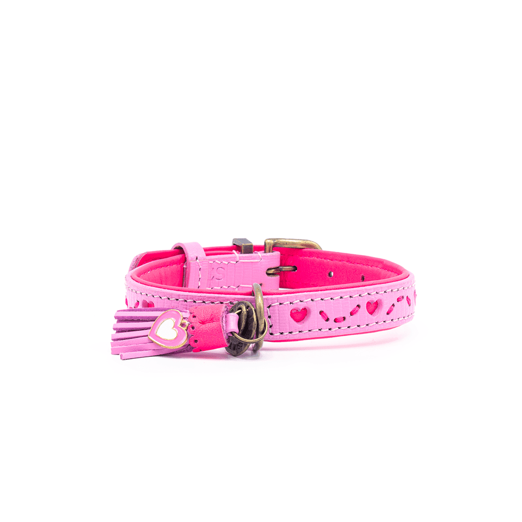Sweety Halsband Dog with a Mission