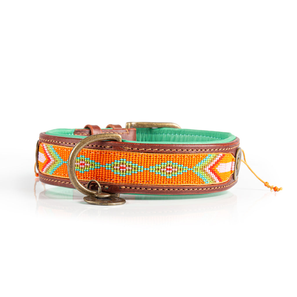 Tiger Lily Halsband Dog with a Mission