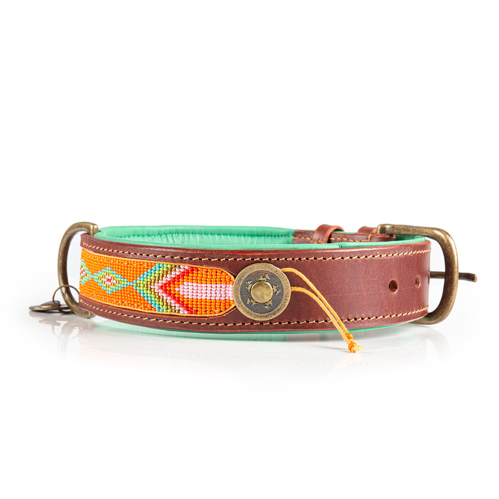 Tiger Lily Halsband Dog with a Mission