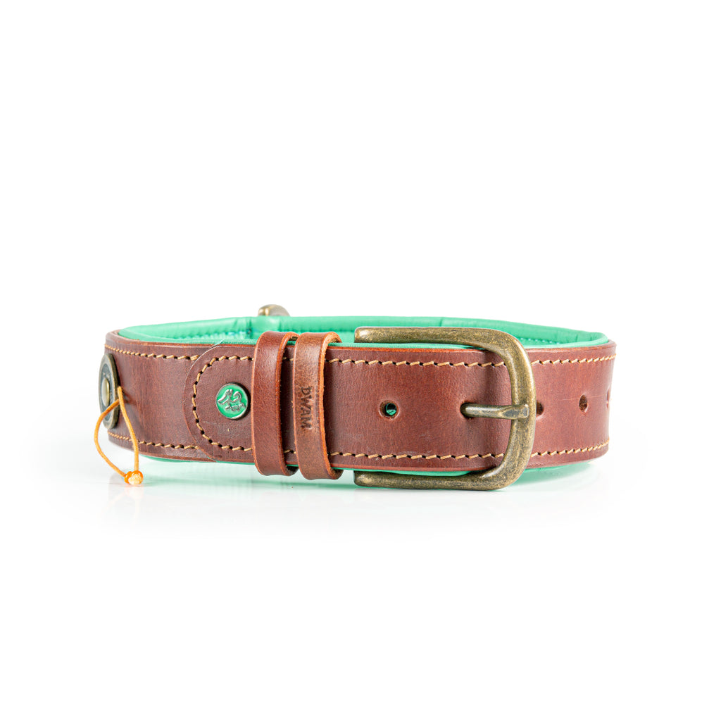 Tiger Lily Halsband Dog with a Mission