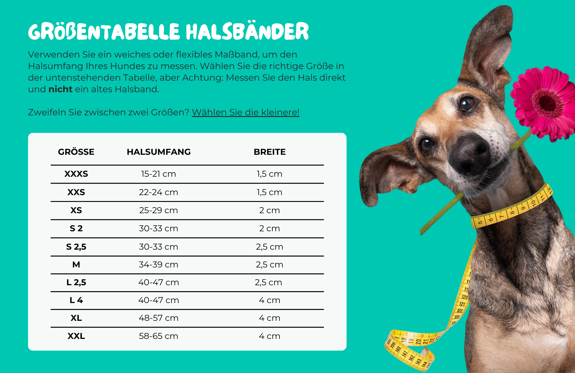 Dutchie Halsband Dog with a Mission