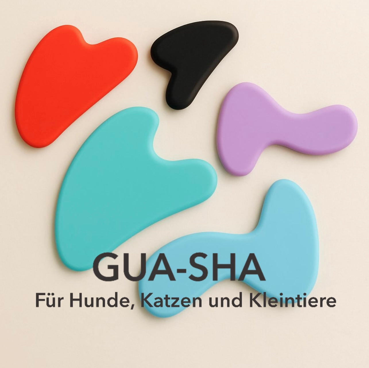 Gua-Sha Set
