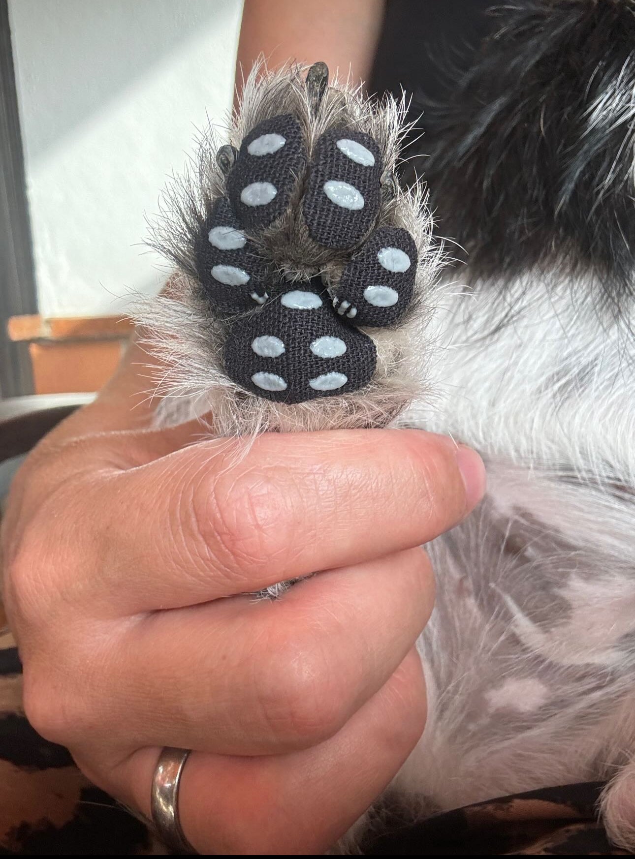 Anti-Rutsch-Pfotensticker