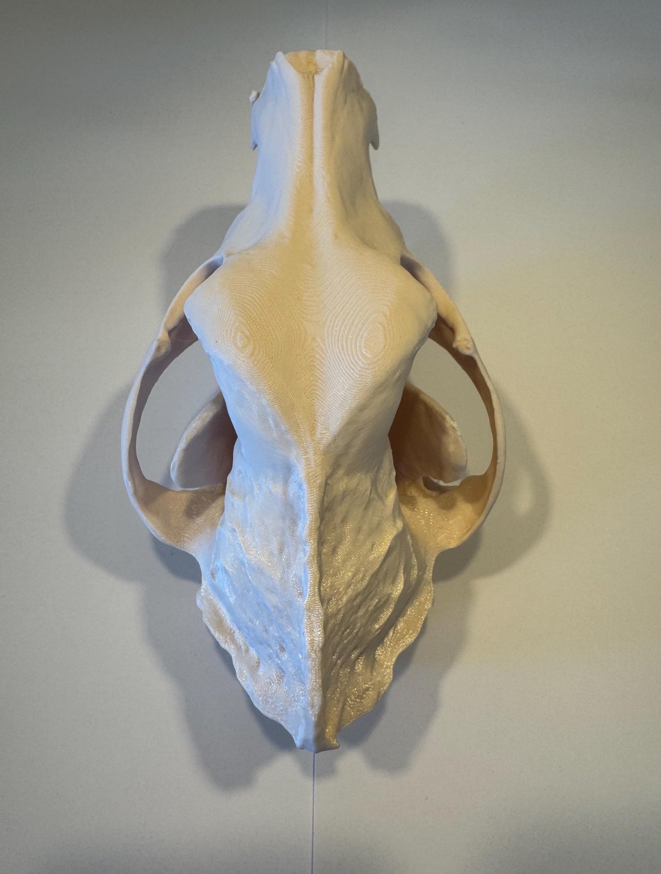 3D gedruckter Deutscher Schäferhund Schädel