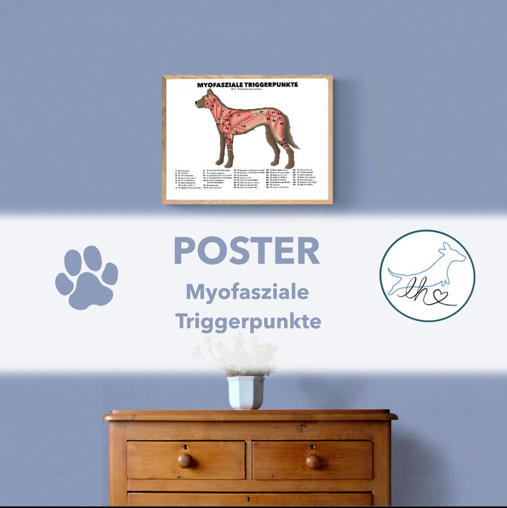 Triggerpunkt Poster (Hund)