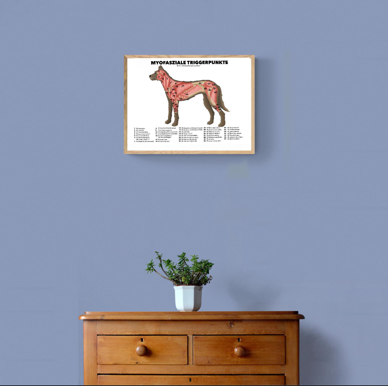 Triggerpunkt Poster (Hund)
