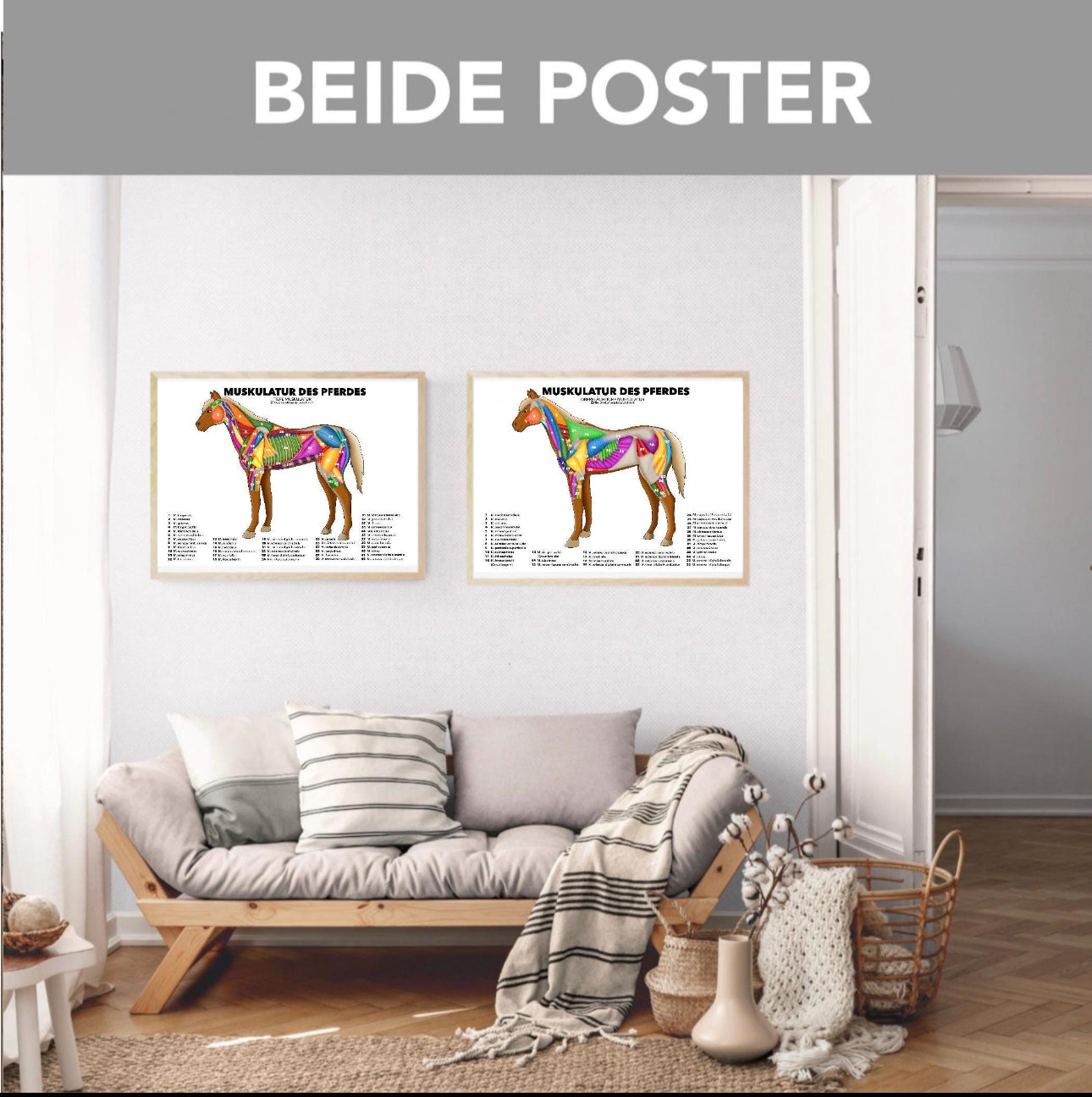 Pferdemuskulatur Poster