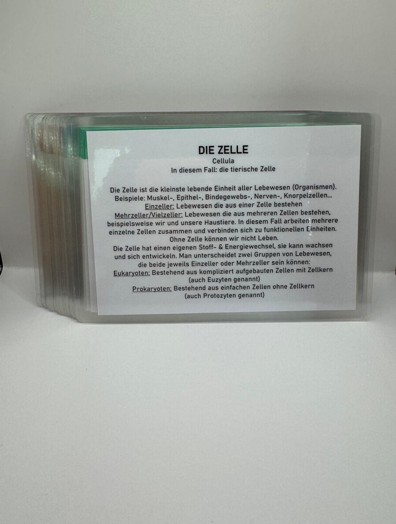 Die tierische Zelle, Lernkarten, Physiologiekarten, Tierphysiokarten