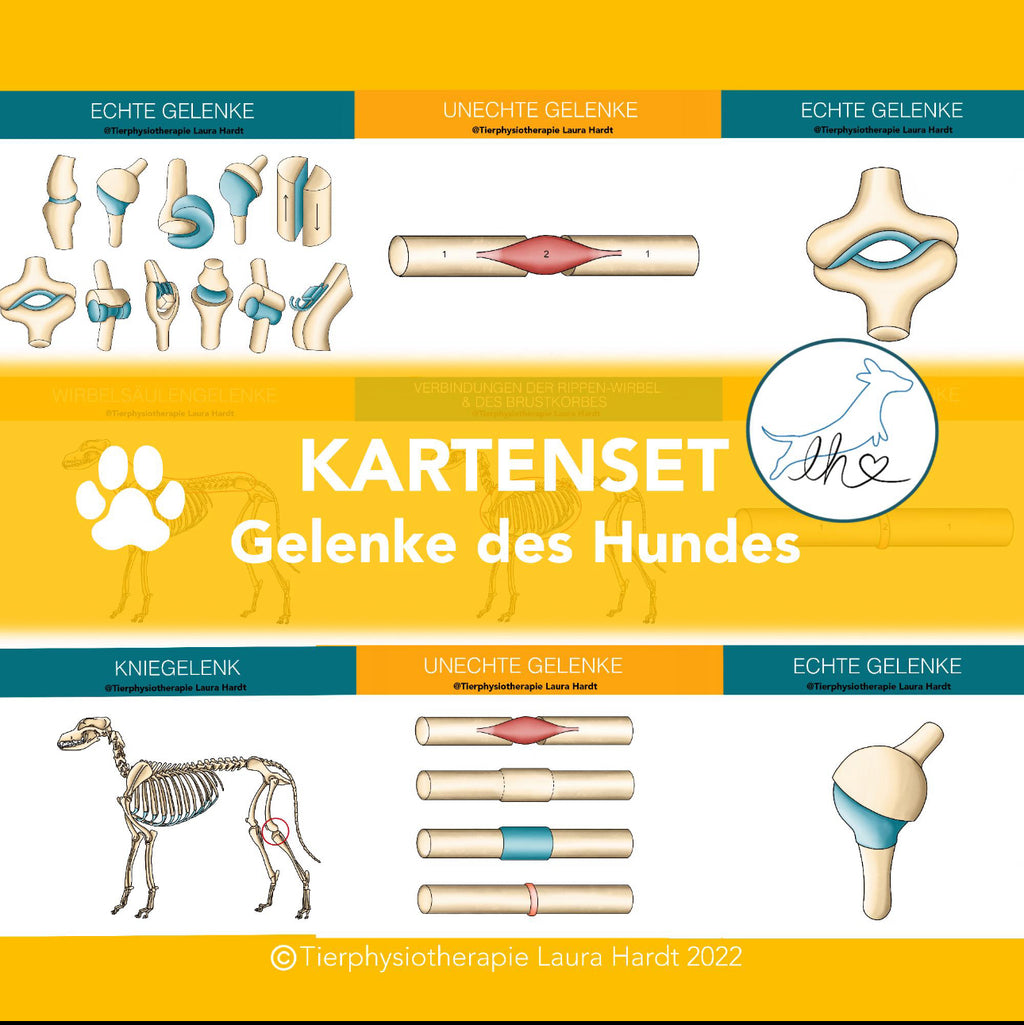 Gelenkkarten Hund
