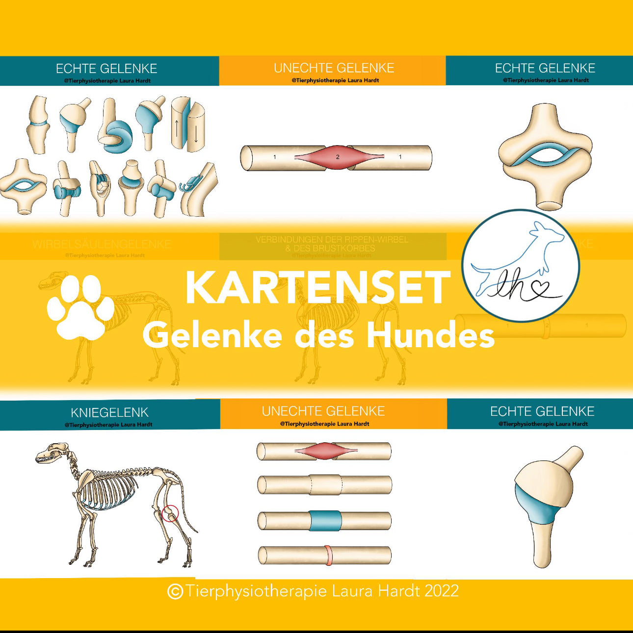 Gelenkkarten Hund