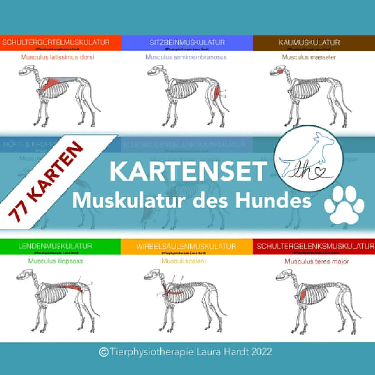 Muskelkarten Hund