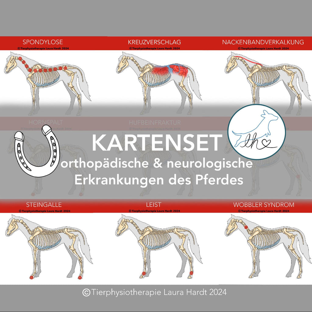 orthopädischen und neurologischen Erkrankungen des Pferdes Lernkarten