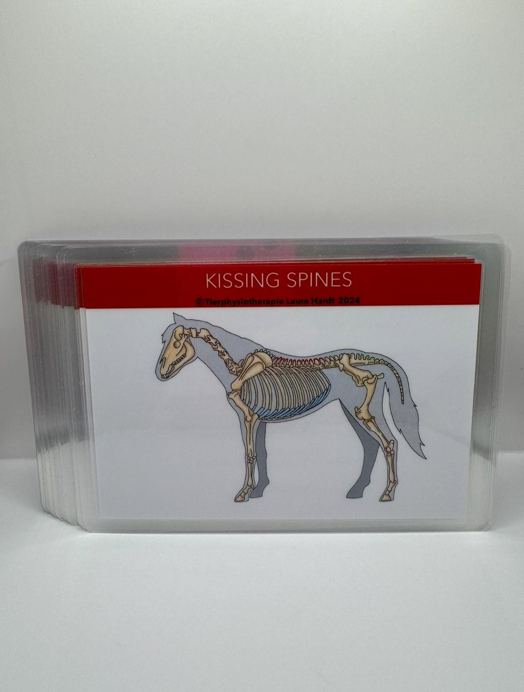 orthopädischen und neurologischen Erkrankungen des Pferdes Lernkarten