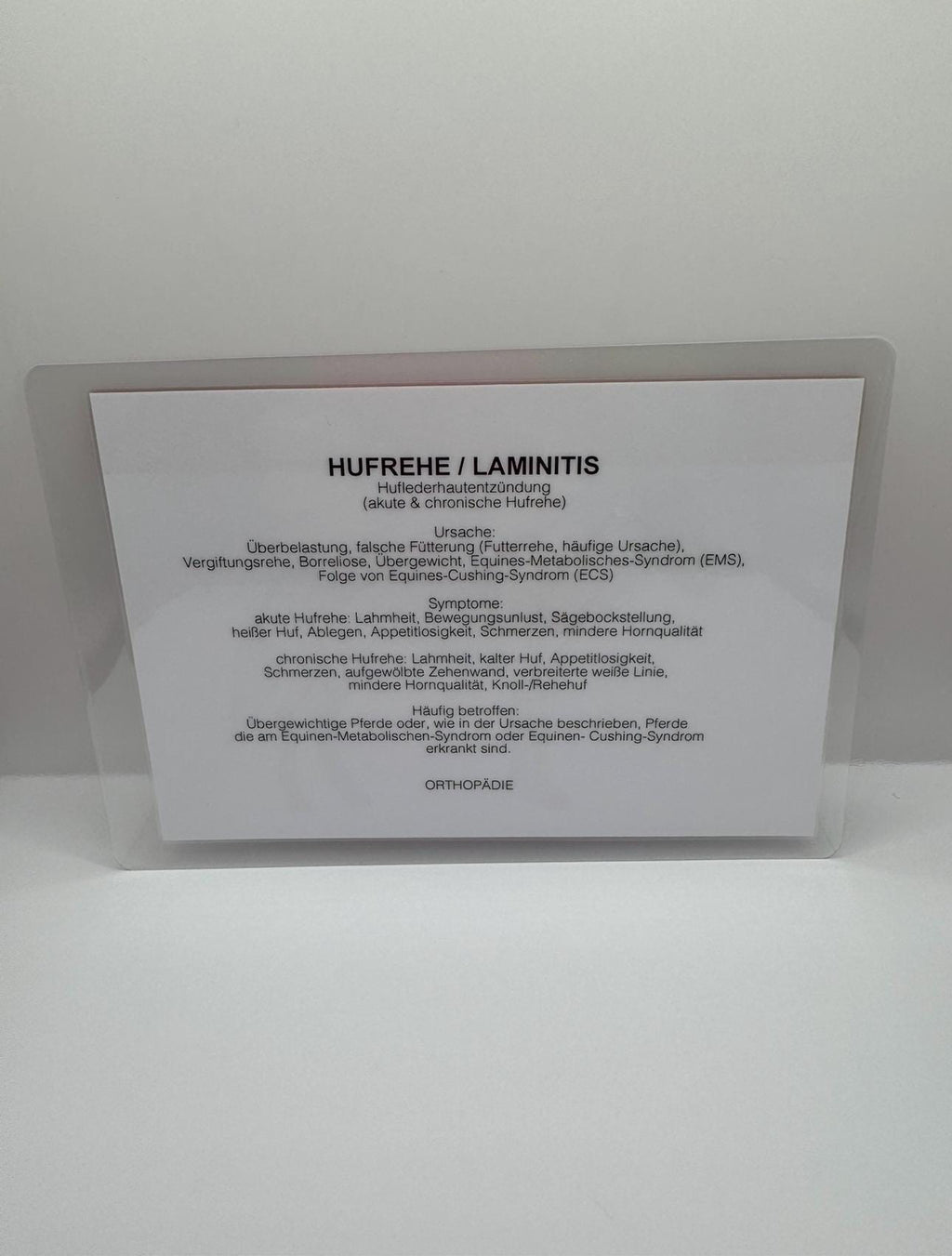 orthopädischen und neurologischen Erkrankungen des Pferdes Lernkarten
