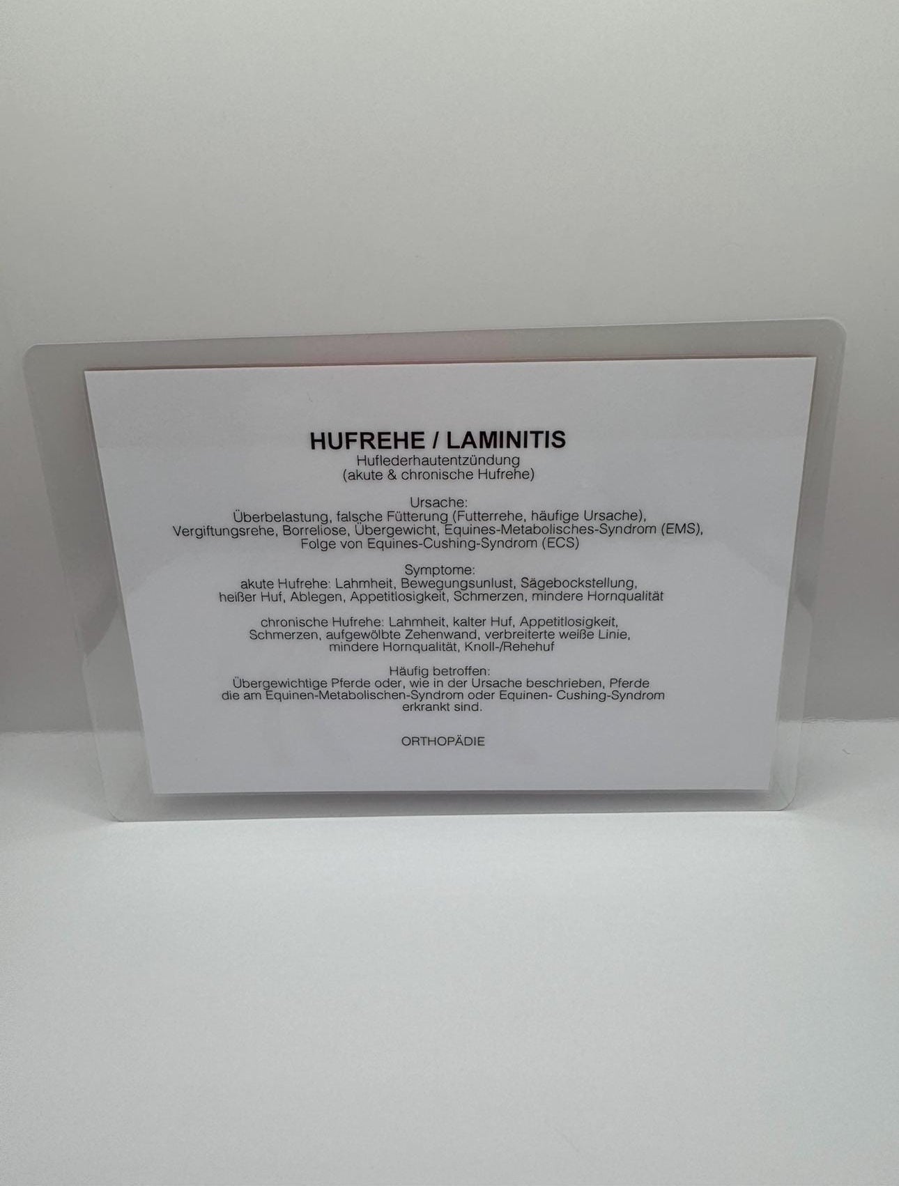 orthopädischen und neurologischen Erkrankungen des Pferdes Lernkarten