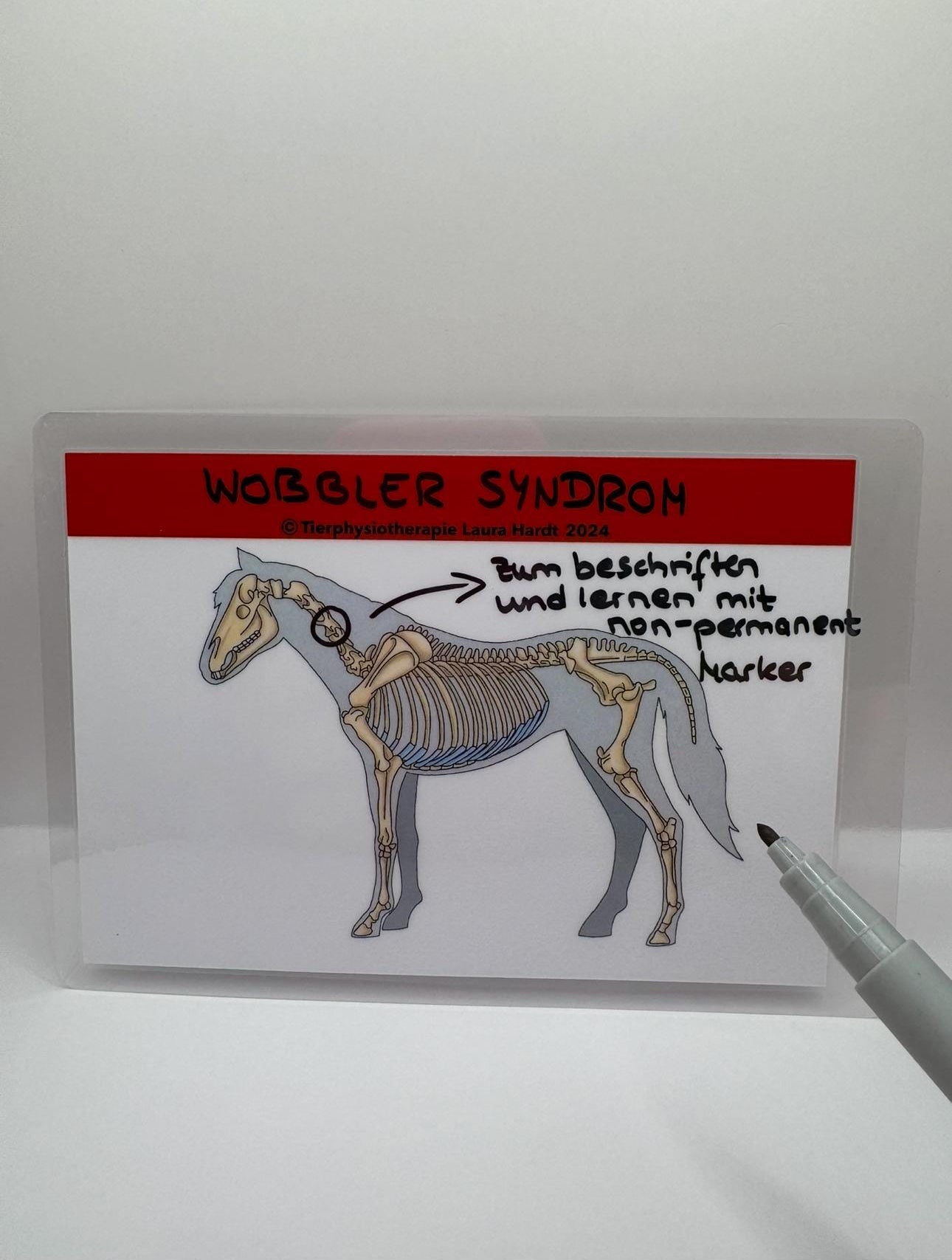 orthopädischen und neurologischen Erkrankungen des Pferdes Lernkarten