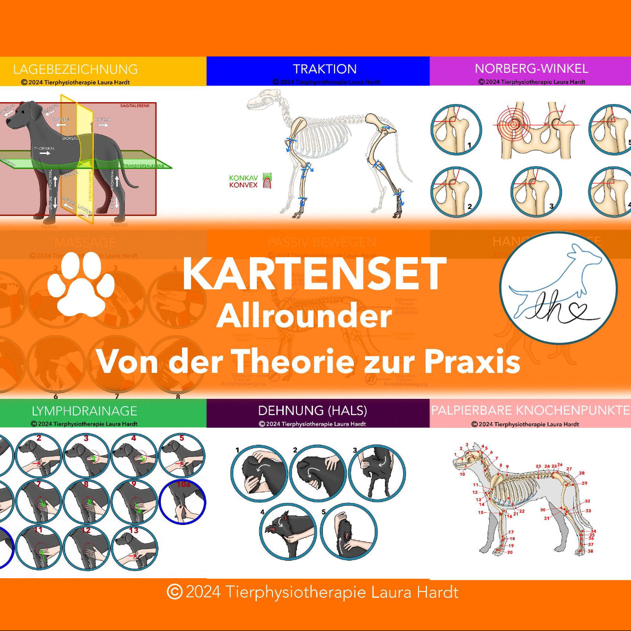 Allrounder-Lernkarten für Hundephysiotherapeuten (Theorie, Praxis & Technik)
