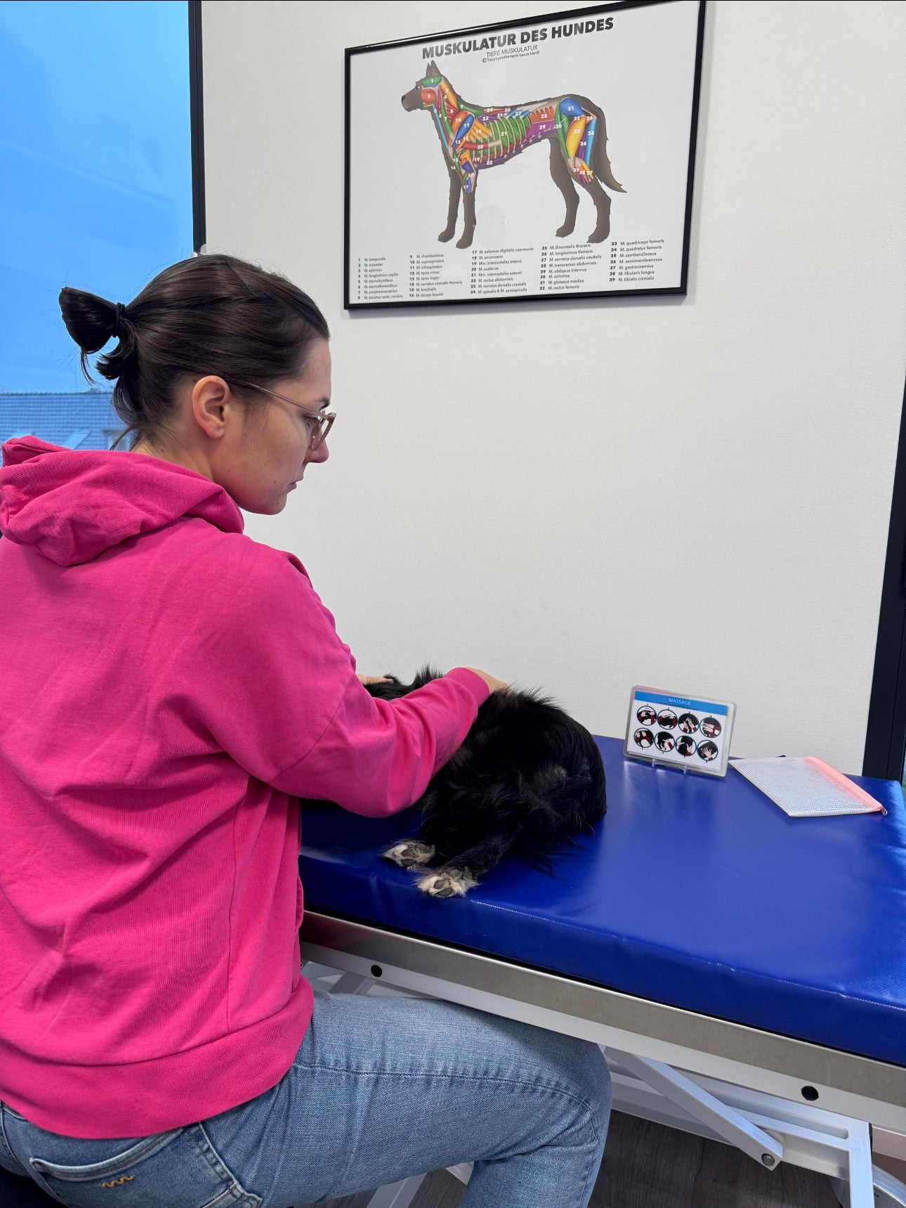 Allrounder-Lernkarten für Hundephysiotherapeuten (Theorie, Praxis & Technik)