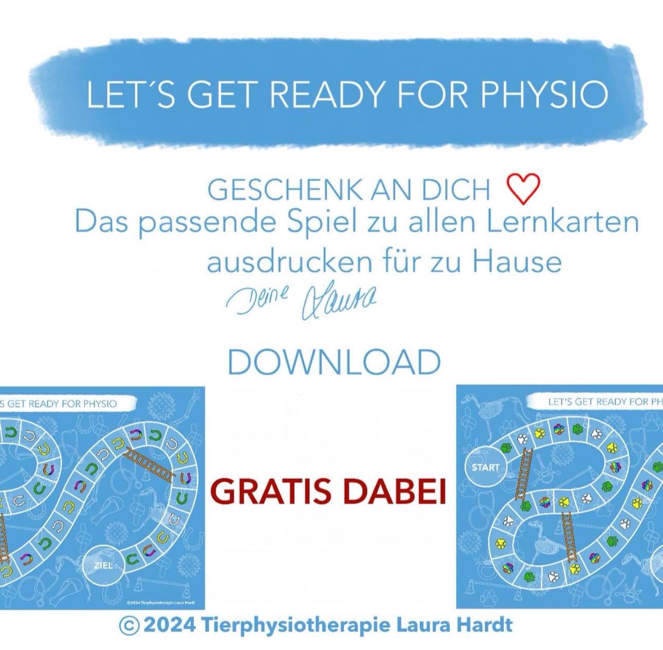Allrounder-Lernkarten für Hundephysiotherapeuten (Theorie, Praxis & Technik)