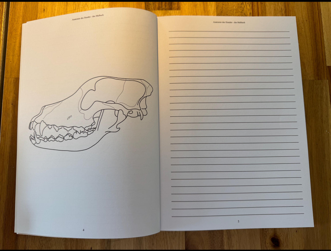 Malbuch Anatomie des Hundes
