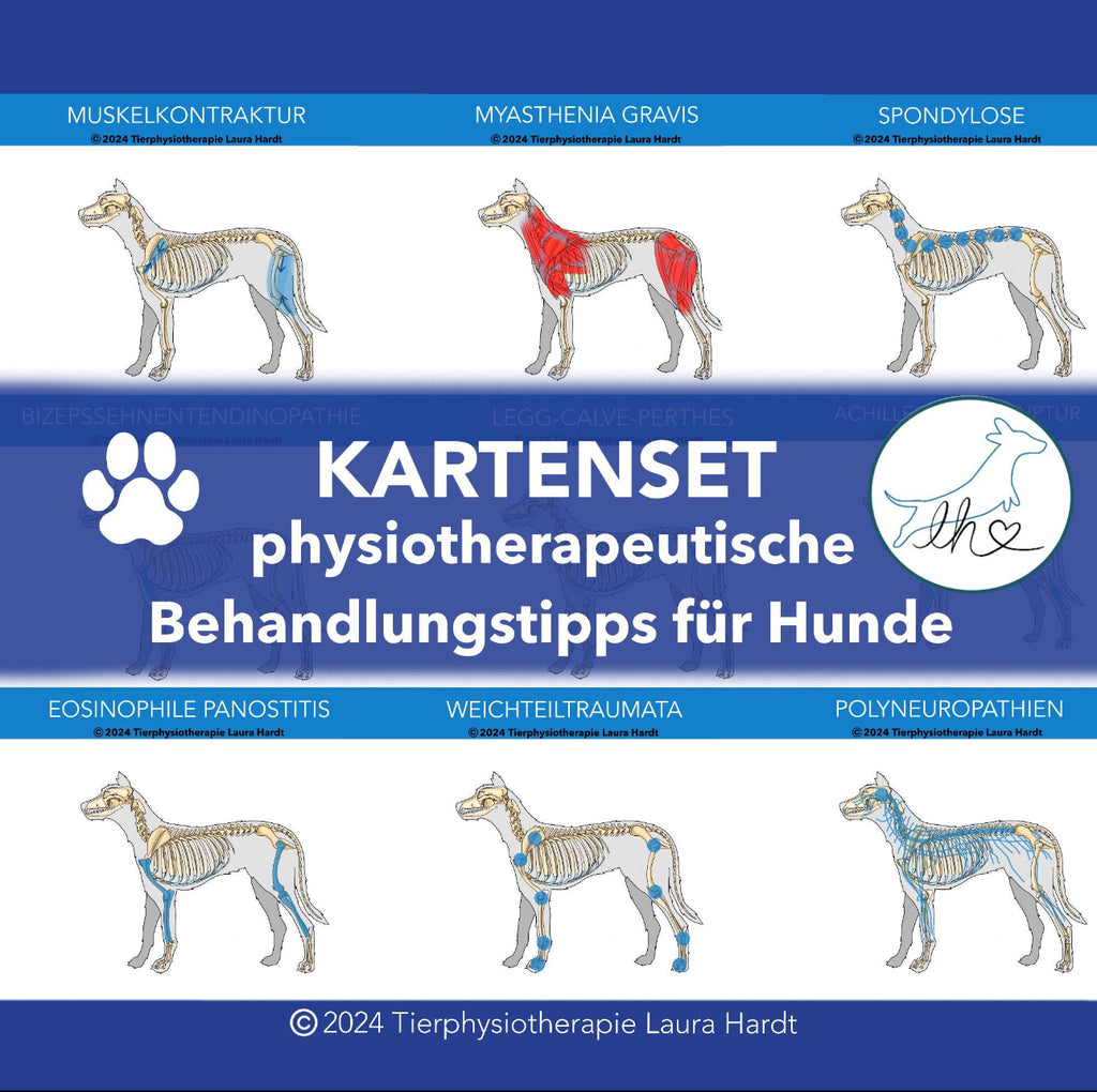 physiotherapeutischen Behandlungsmethoden bei neurologischen und orthopädischen Erkrankungen des Hundes