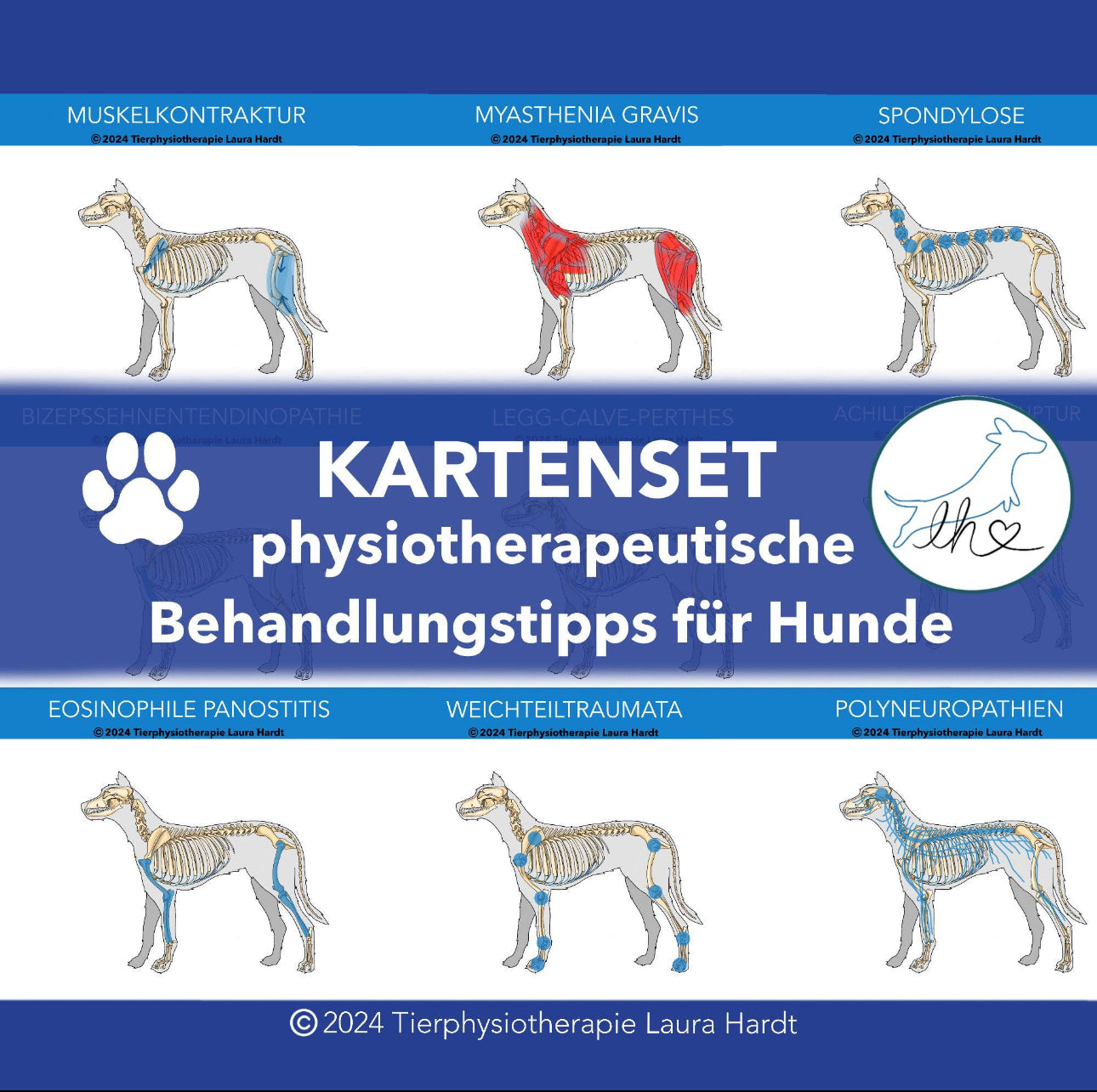 physiotherapeutischen Behandlungsmethoden bei neurologischen und orthopädischen Erkrankungen des Hundes