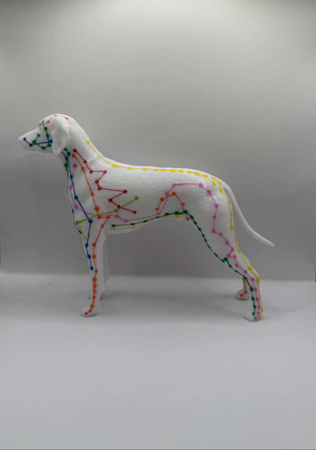 3D gedruckter Meridian-Hund