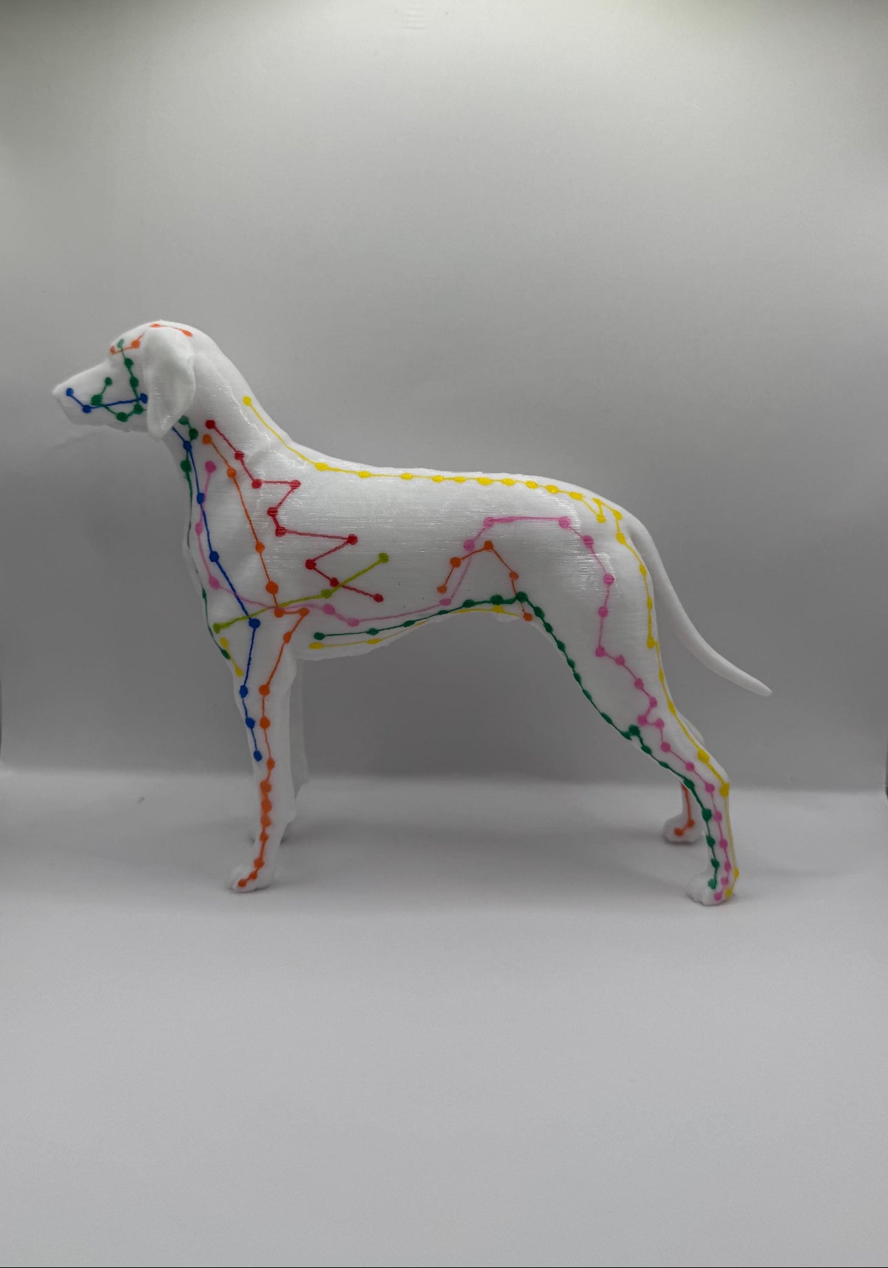 3D gedruckter Meridian-Hund