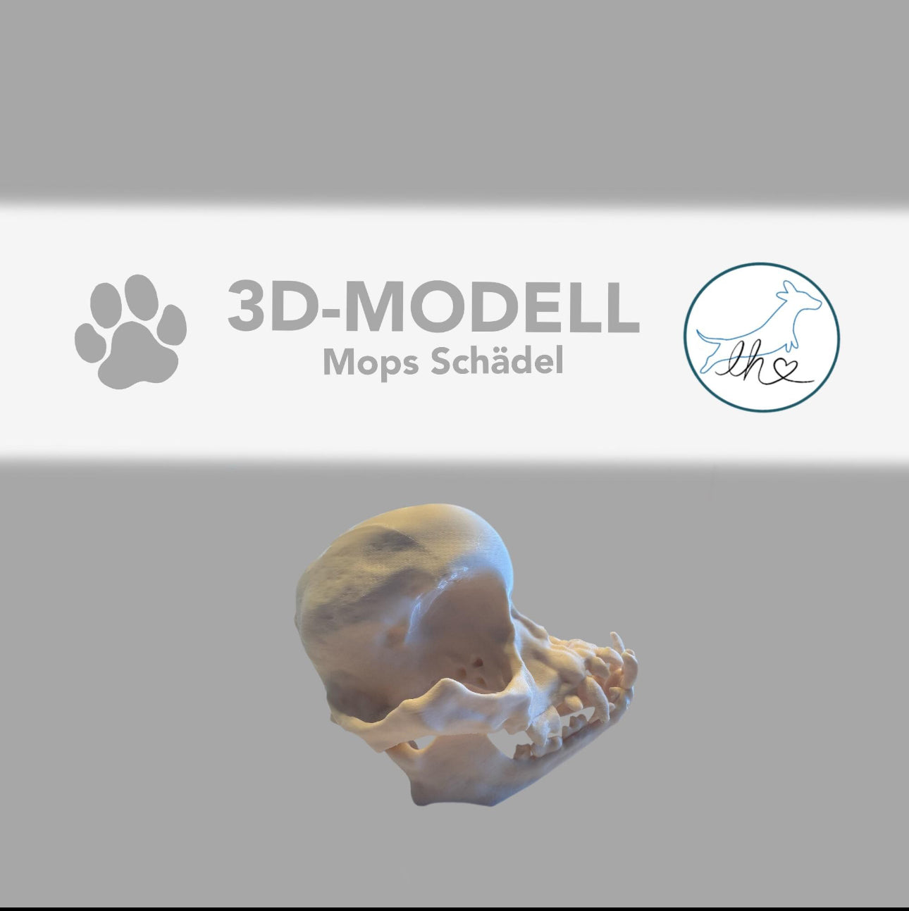 3D gedruckter Mops Schädel
