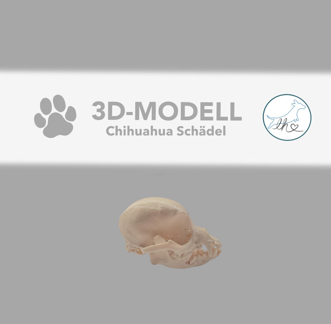 3D gedruckter Chihuahua Schädel mit Halterung
