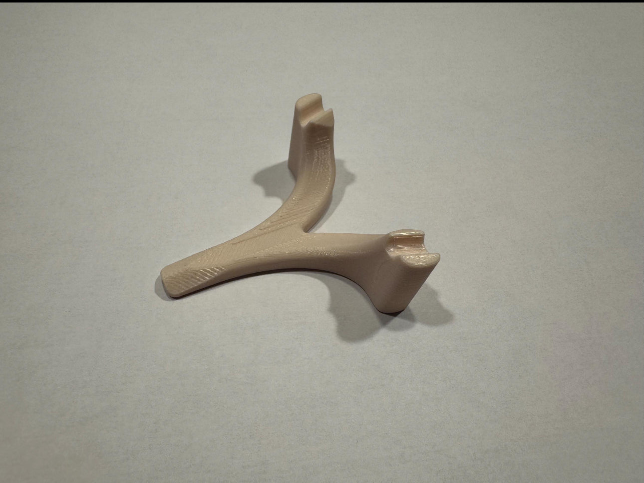 3D gedruckter Chihuahua Schädel mit Halterung