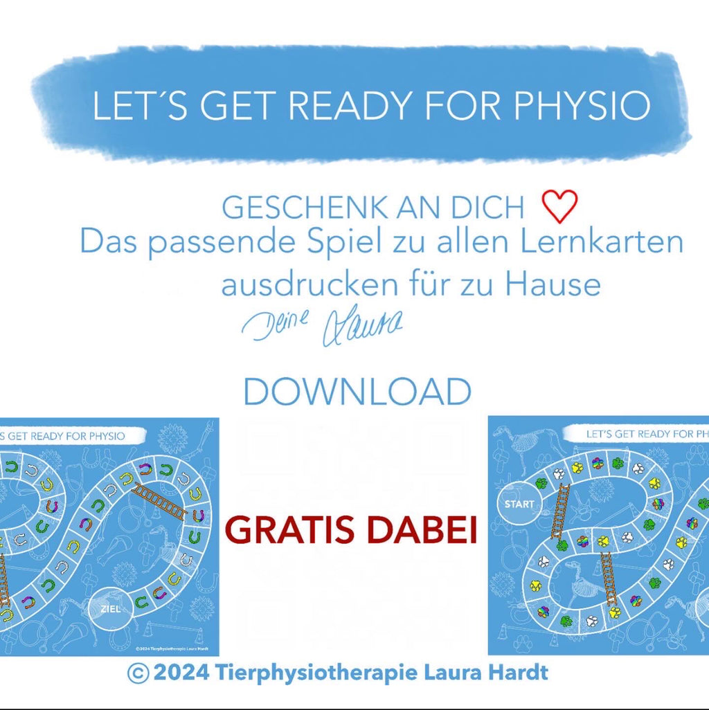 Knochenkarten Pferd