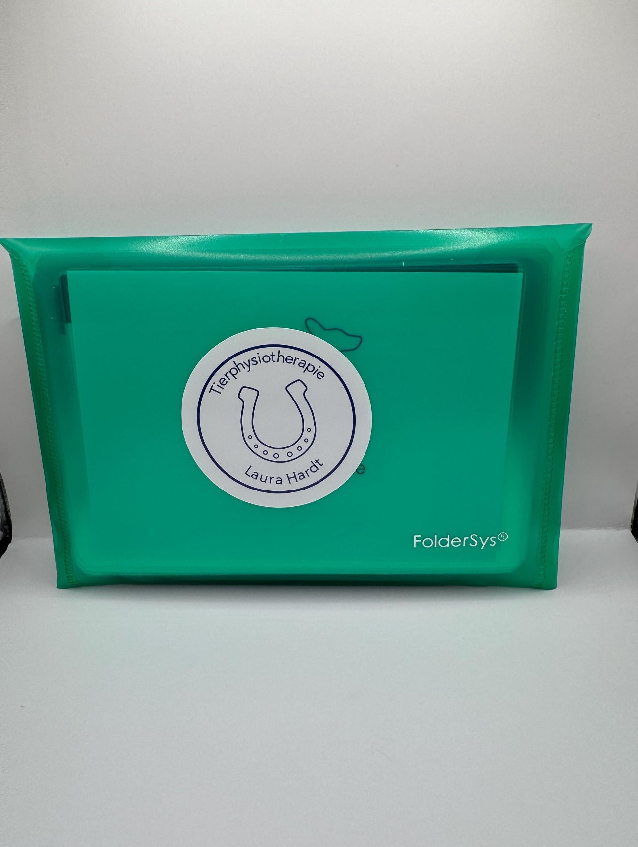 Lernset Muskeln + Knochen + Gelenke Pferde (3-in-1 Sparset)