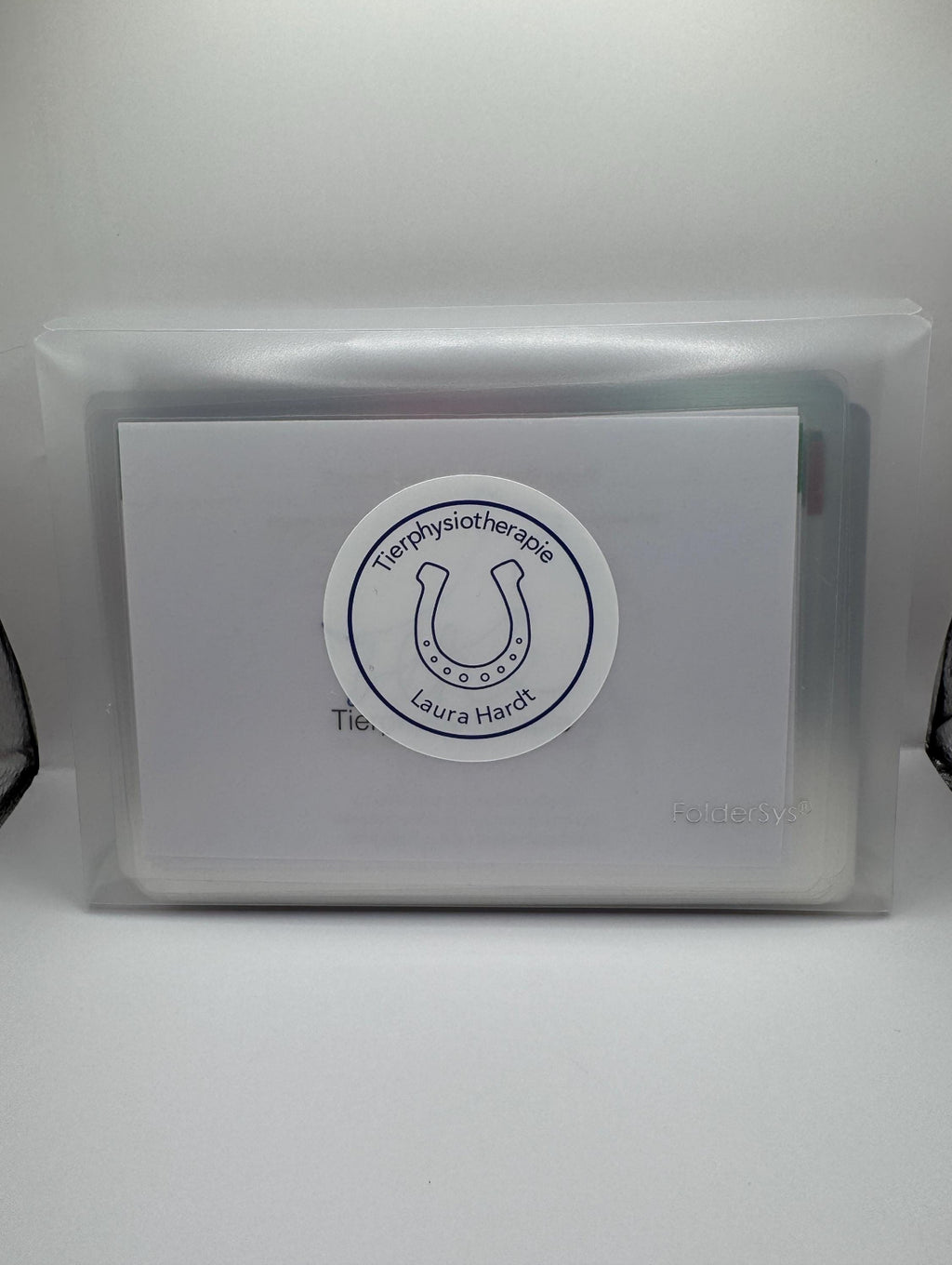 Lernset Muskeln + Knochen + Gelenke Pferde (3-in-1 Sparset)