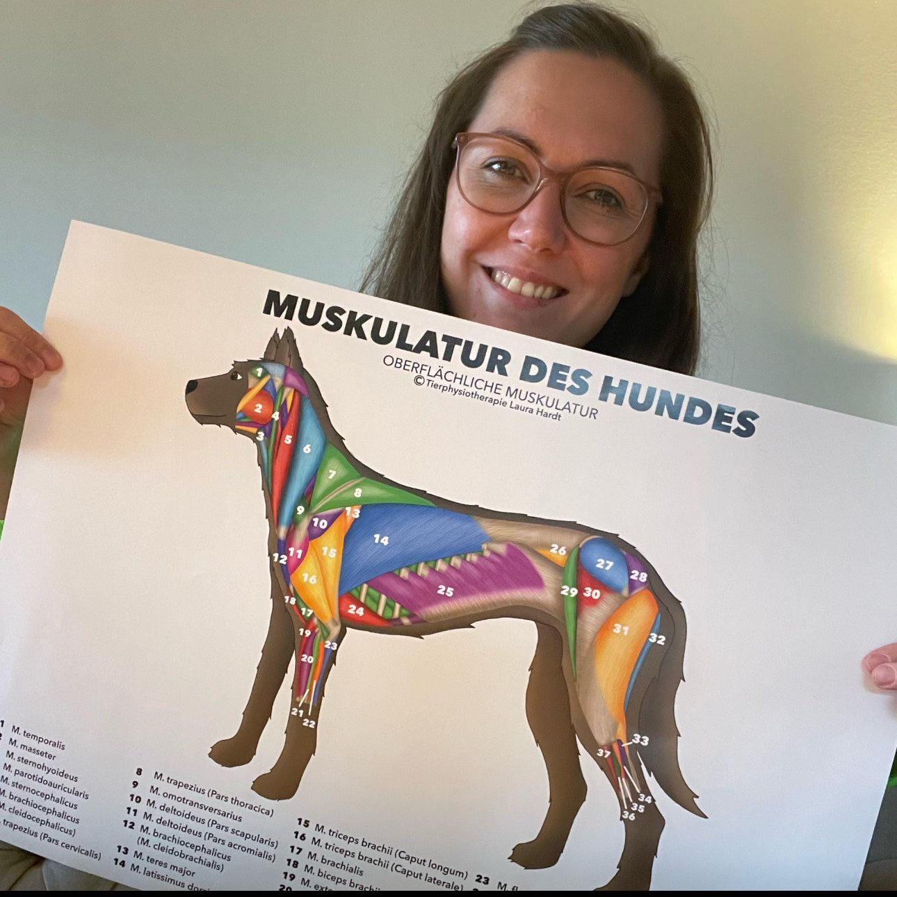 Hundemuskulatur Poster