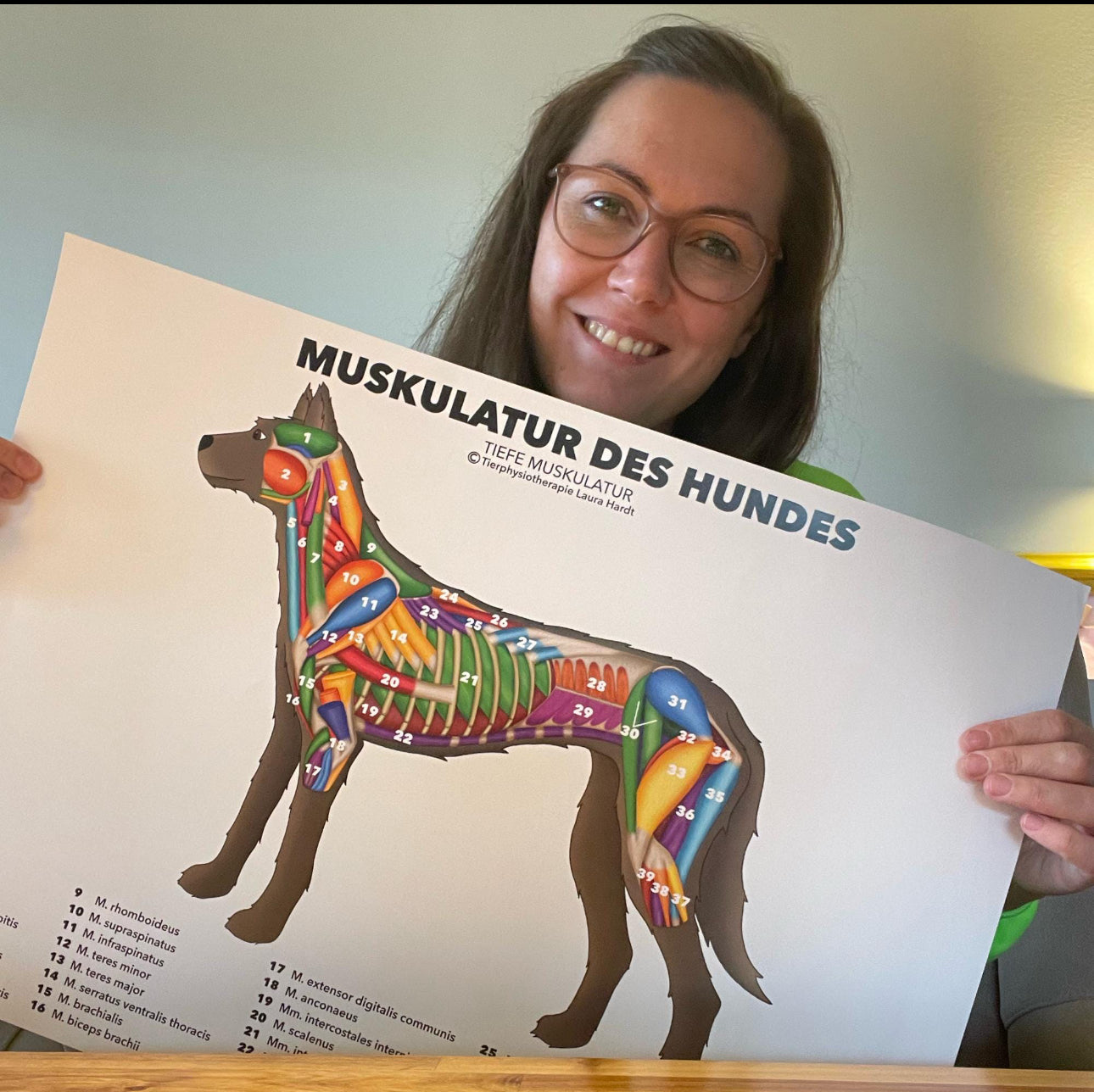 Hundemuskulatur Poster