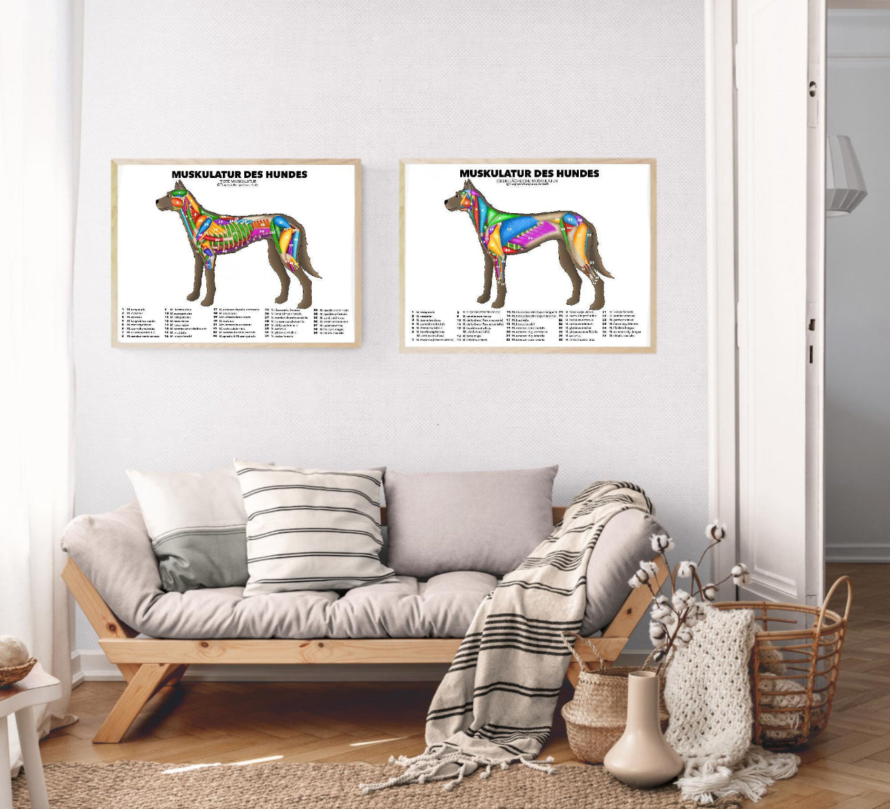 Hundemuskulatur Poster