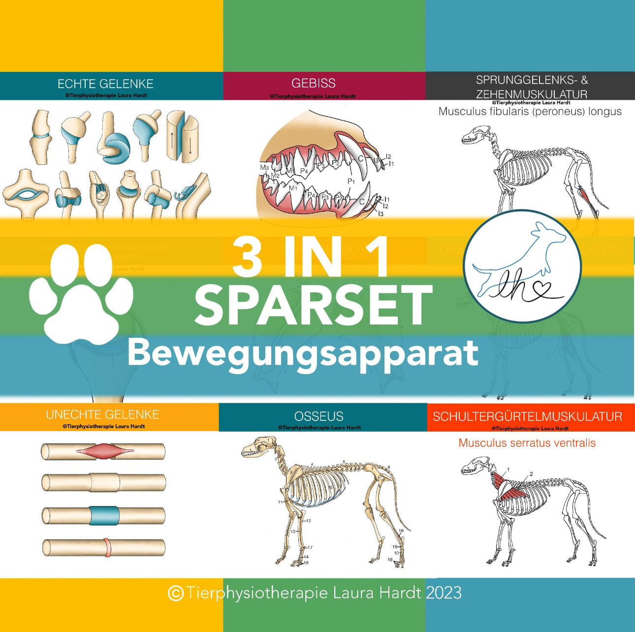 Muskeln/KnochenGelenke Hund