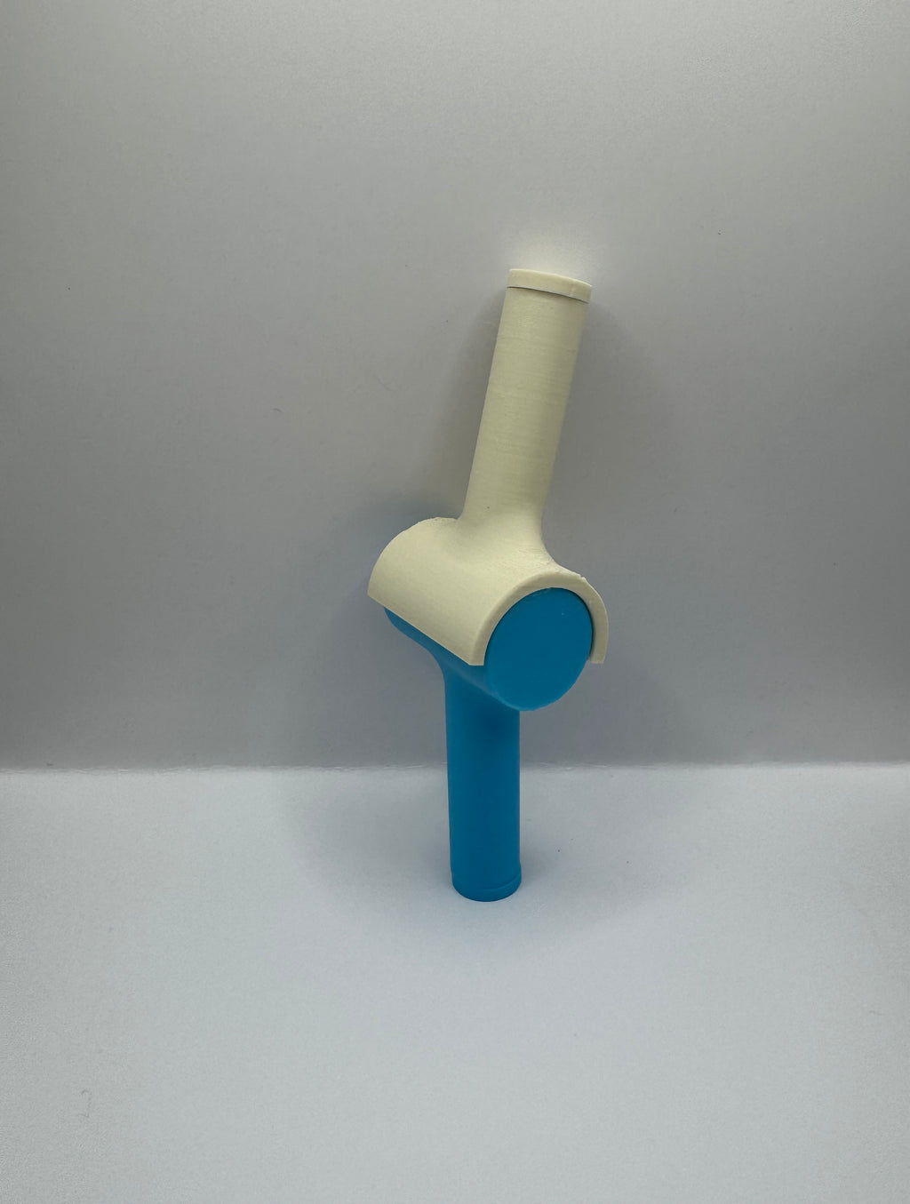 3D gedrucktes Synovial-Gelenkmodell-Set